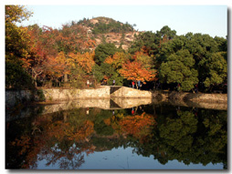 迪士尼樂園·瘋狂動物城+解讀江南雙水鄉(xiāng)+周莊·烏鎮(zhèn)6日游(含往返大交通)