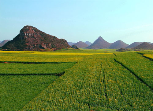 昆明、大理、麗江、西雙版納雙飛雙動(dòng)8日觀(guān)光之旅(含往返大交通)