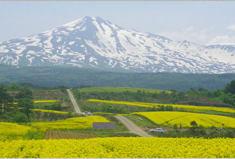 東京\/鐮倉\/富士山\/箱根\/輕井澤6日半自助之旅